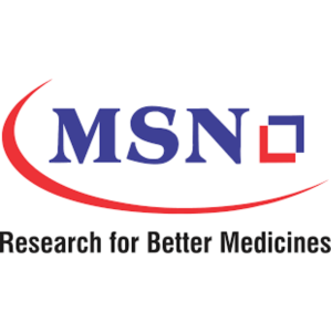 MSN logo